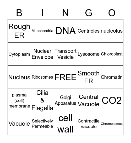 Cell Organelles Bingo Card