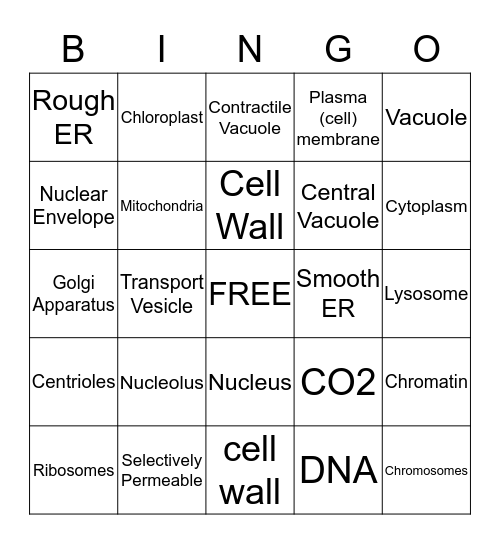 Organelles of the Cells Bingo Card