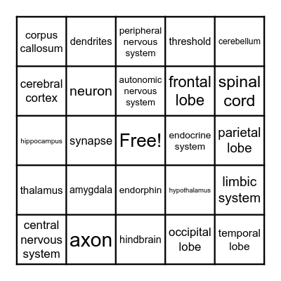 Biopsychology Bingo Card