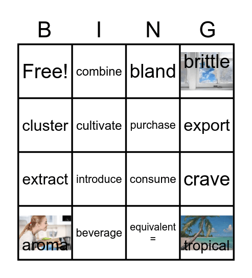 Lesson 2 Vocab Bingo Card