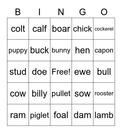 animals bingo Card