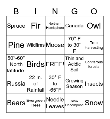Taiga Bingo Card