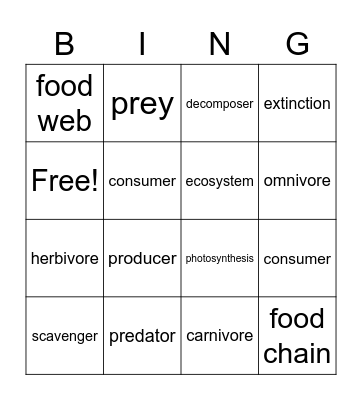 Food Web and Food Chain Bingo Card