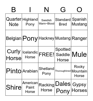 Horse Breeds Bingo Card