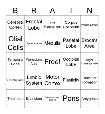 The Brain! Bingo Card