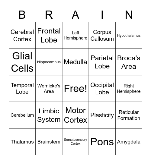 The Brain! Bingo Card