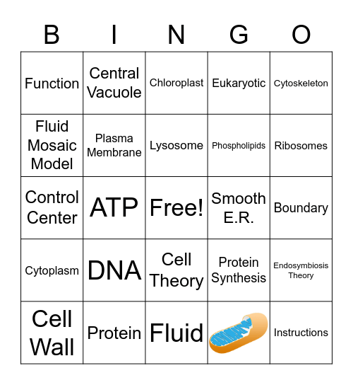 Organelle Bingo Card