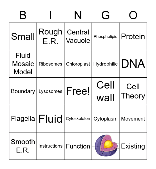 Organelle Bingo Card