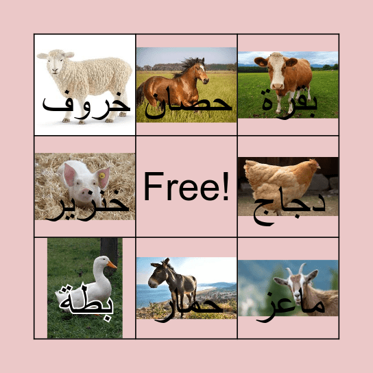 الحيوانات الأليفة Bingo Card