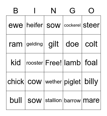 malachis animal bingo Card