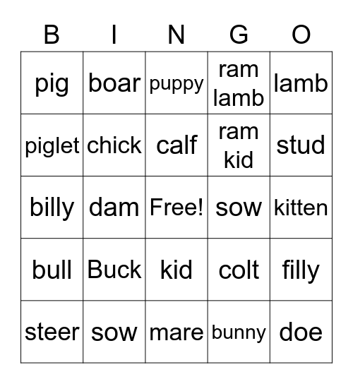 Agriscience Animal Bingo Card