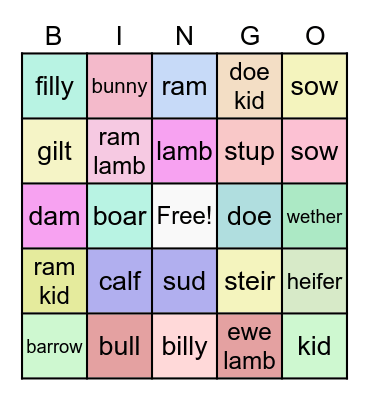 Averys Animal Bingo Card