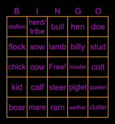 Kaitlin's Animal Bingo Card