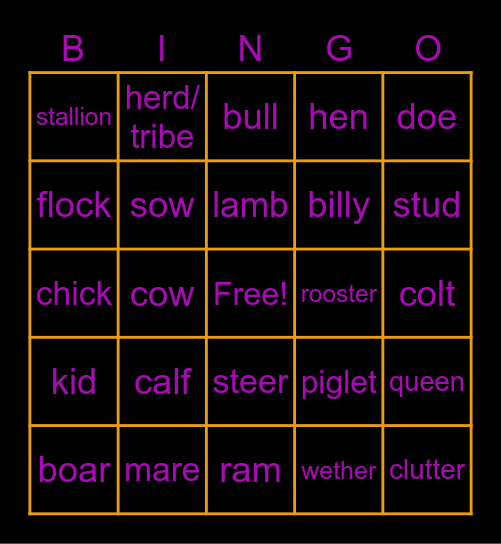 Kaitlin's Animal Bingo Card