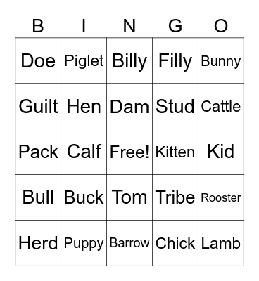 Paige's Animal Bingo Card