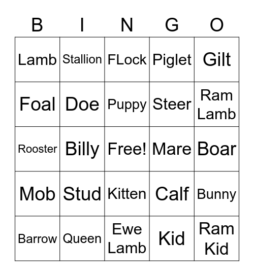 Wyatt's Animal Lingo Bingo Card