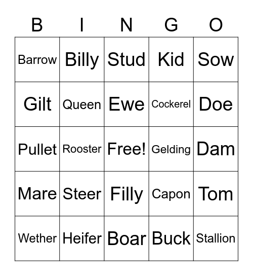 Mackenzie's Animal Bingo Card