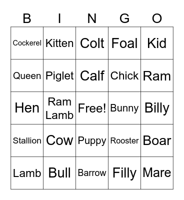 Chloe Means (Animal Bingo) Bingo Card