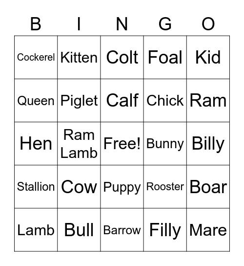 Chloe Means (Animal Bingo) Bingo Card