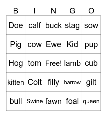 Animal Lingo Bingo Card