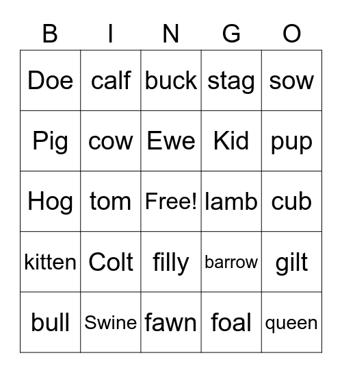 Animal Lingo Bingo Card