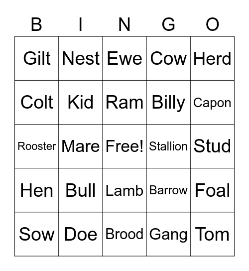 Animal Lingo Bingo Card