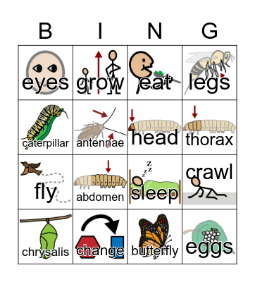 Butterfly Bingo Card