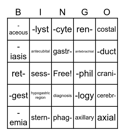 HS1 Terms Weeks 1-10 Bingo Card