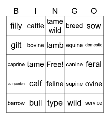 Animal names Bingo Card