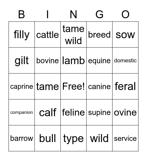 Animal names Bingo Card