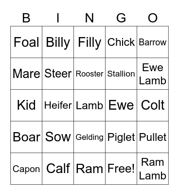 Animal Term Bingo Card