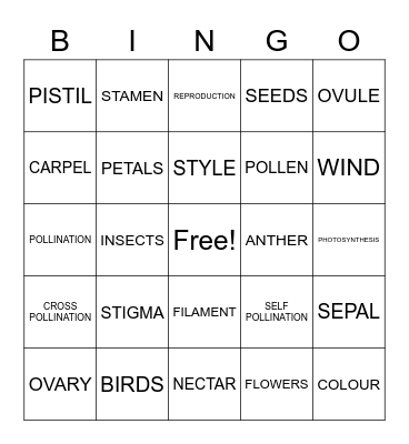 PLANT REPRODUCTION Bingo Card