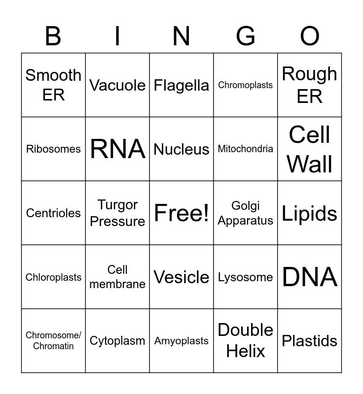 the-cell-structure-function-oer-commons