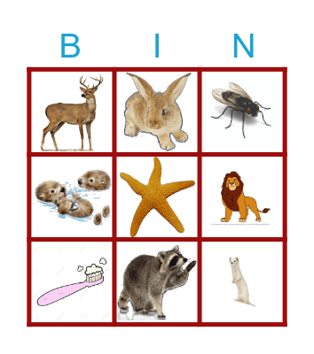 Animals Bingo Card