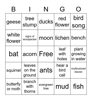 Outdoor Club Bingo 2 Bingo Card