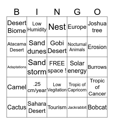 The road Runner (desert biome) Bingo Card