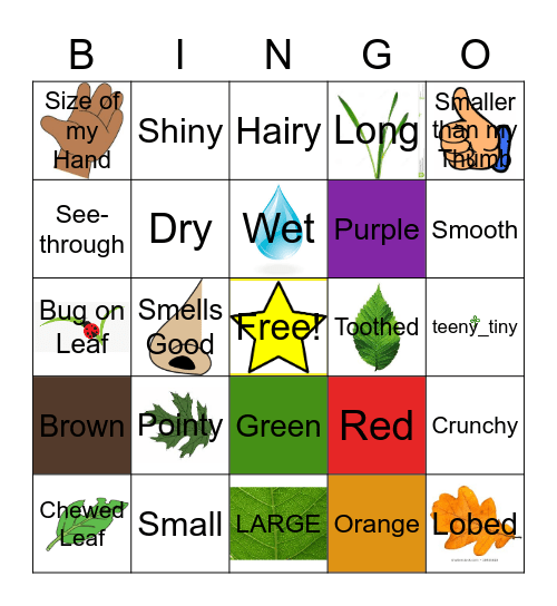 Leaf Bingo Card