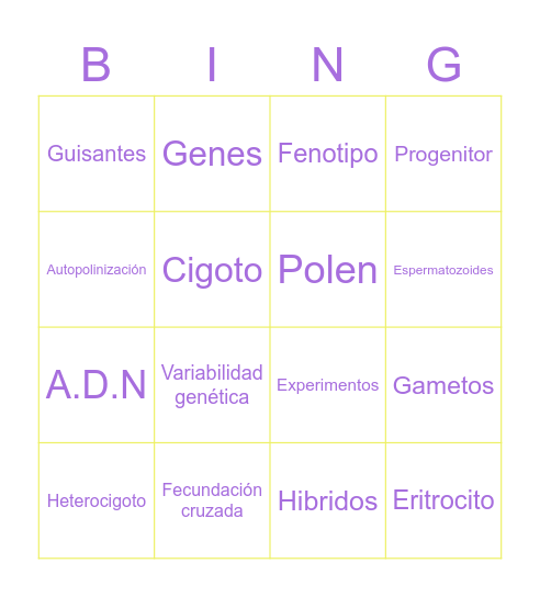 Bingo Vania's Bingo Card