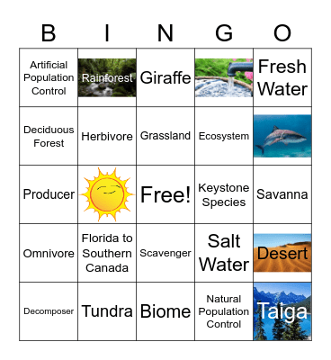 Environmental Systems Bingo Card