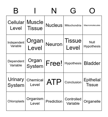 Levels of Organization Bingo Card