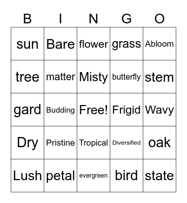 The nature club Bingo Card