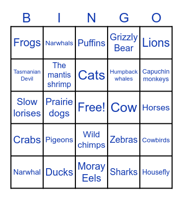 Weird Animals Bingo Card