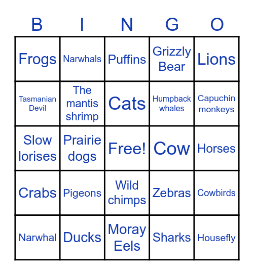 Weird Animals Bingo Card