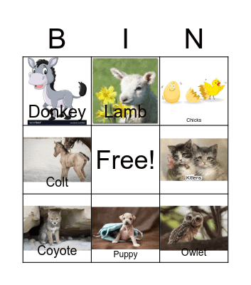 Singing Animal Bingo Card