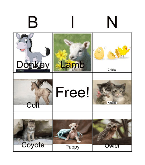 Singing Animal Bingo Card
