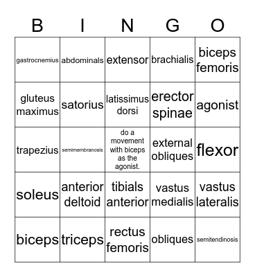 Human Body Muscle Bingo Card
