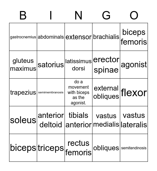 Human Body Muscle Bingo Card