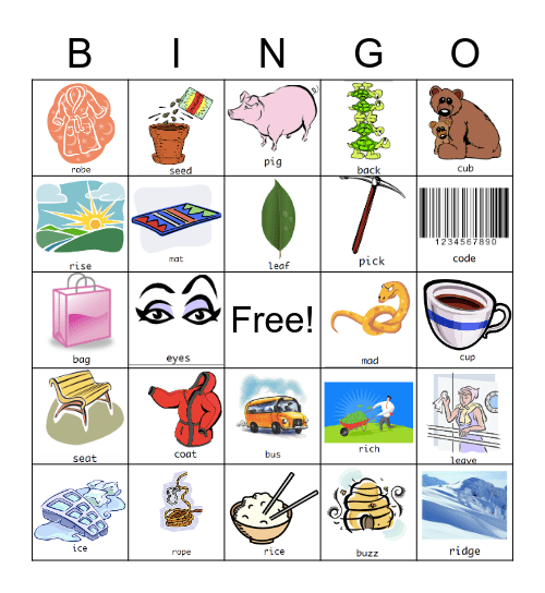 Minimal Pairs- Final Voicing Bingo Card