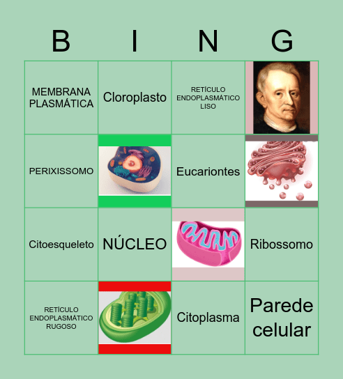 Bingo celular Bingo Card