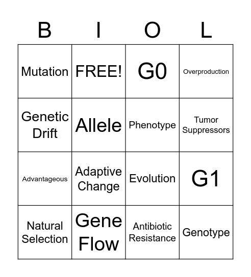 Evolution and Cell Cycle Bingo Card